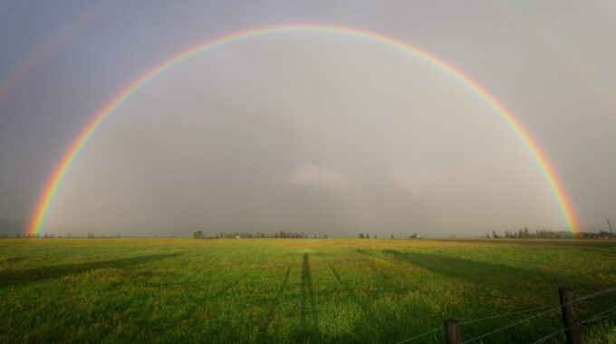 粒徑分佈圖怎麼看？完整解讀定義與曲線，明白技術運用在哪裡！